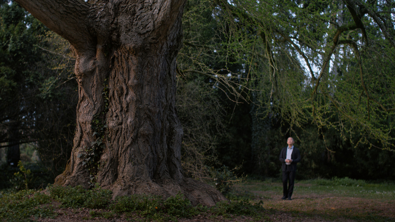 Silent Friend Movie Screenshot 1